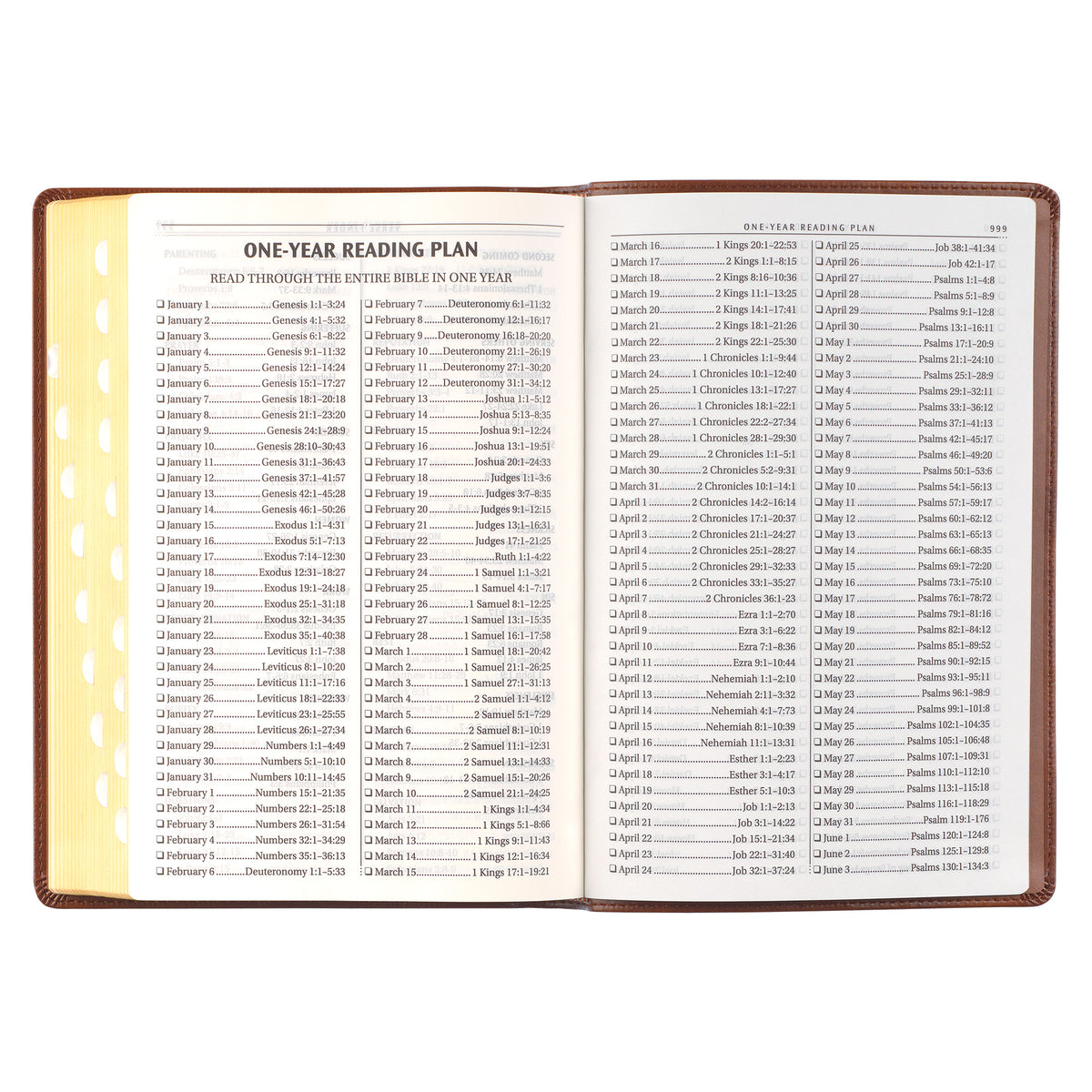 Antiqued Brown Faux Leather Large Print Thinline King James Version Bible with Thumb Index