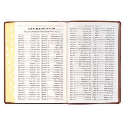 Antiqued Brown Faux Leather Large Print Thinline King James Version Bible with Thumb Index