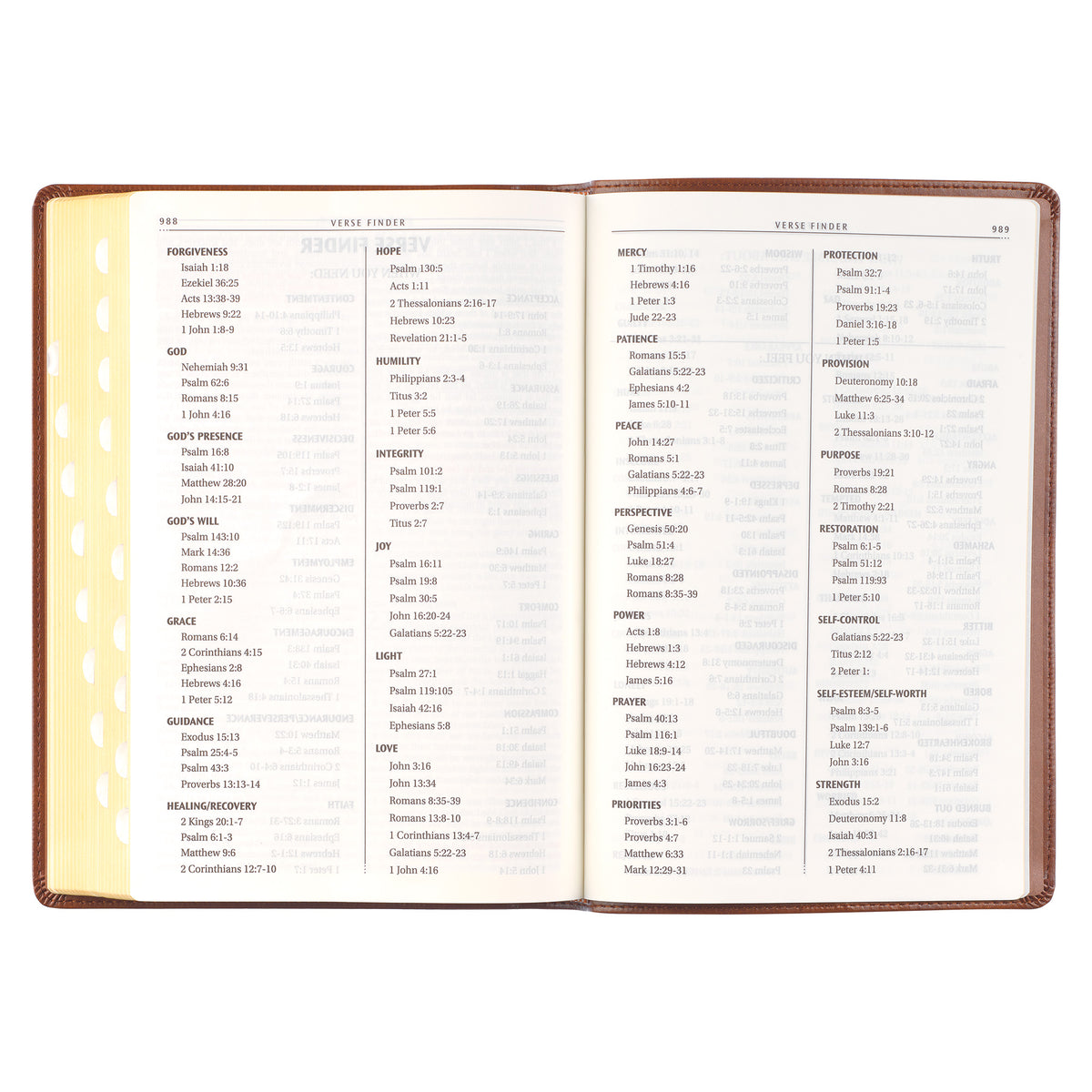 Antiqued Brown Faux Leather Large Print Thinline King James Version Bible with Thumb Index