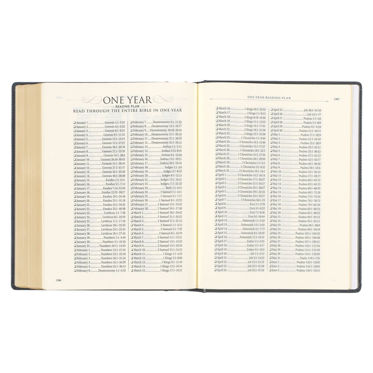 Iron Gray Faux Leather Hardcover Large Print King James Version Note-taking Bible