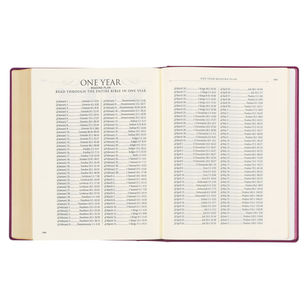 Red Plum Faux Leather Hardcover Large Print King James Version Note-taking Bible