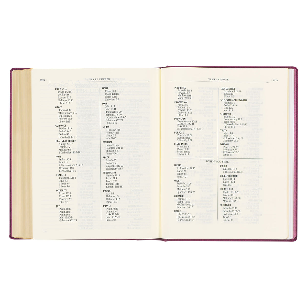 Red Plum Faux Leather Hardcover Large Print King James Version Note-taking Bible
