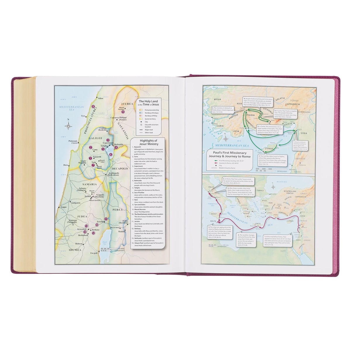 Red Plum Faux Leather Hardcover Large Print King James Version Note-taking Bible