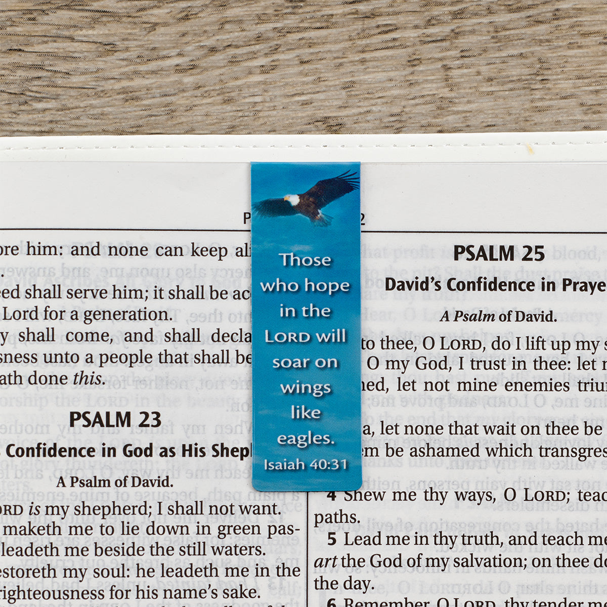Magnetic Bookmark Set
