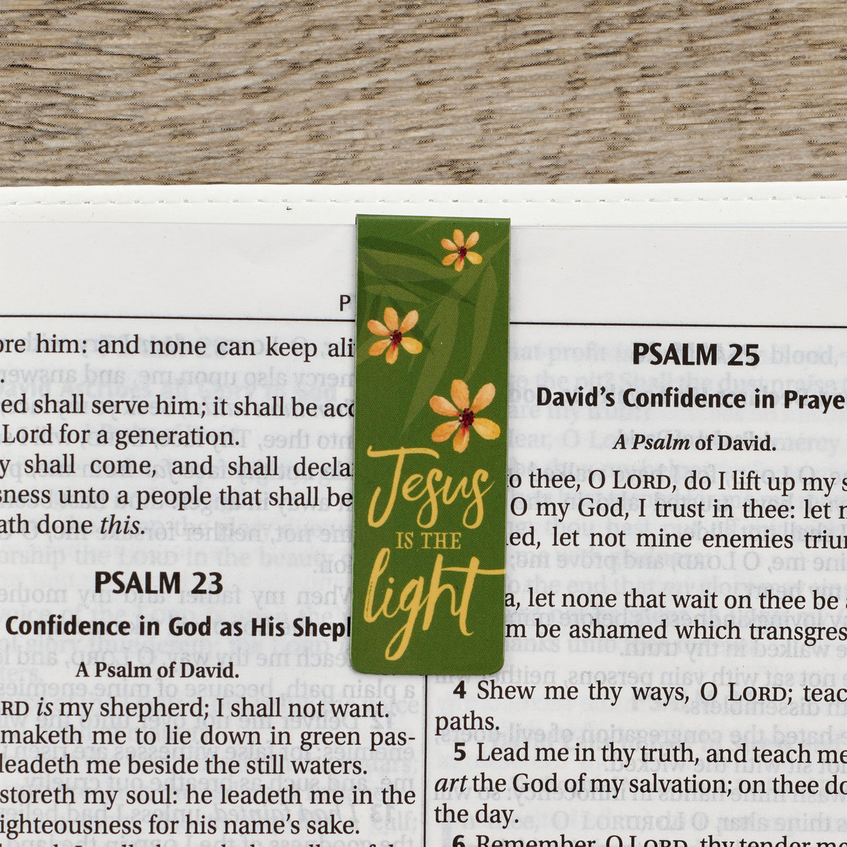 Magnetic Bookmark Set