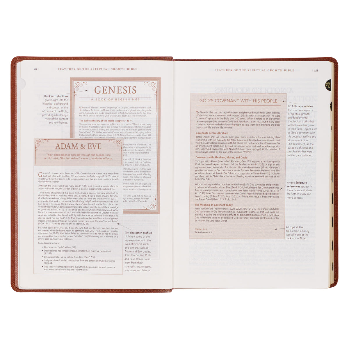 Saddle Tan Faux Leather Spiritual Growth Bible
